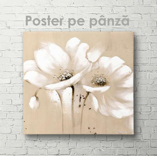 Poster - White flower on a beige background, 30 x 45 см, Canvas on frame, Flowers