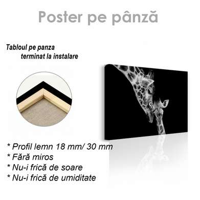Poster, Mother Giraffe and her cub, 45 x 30 см, Canvas on frame