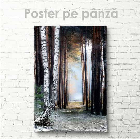Постер - Тропинка в лесу, 30 x 45 см, Холст на подрамнике, Природа