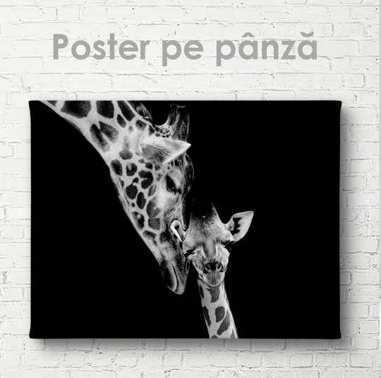 Постер, Мама Жираф и ее детеныш, 45 x 30 см, Холст на подрамнике