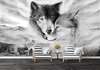 Wall Mural - Wolf and she-wolf