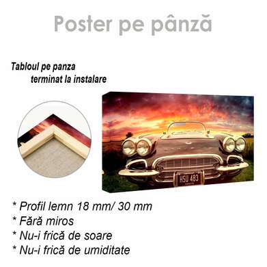 Poster - Corvette, 60 x 30 см, Panza pe cadru