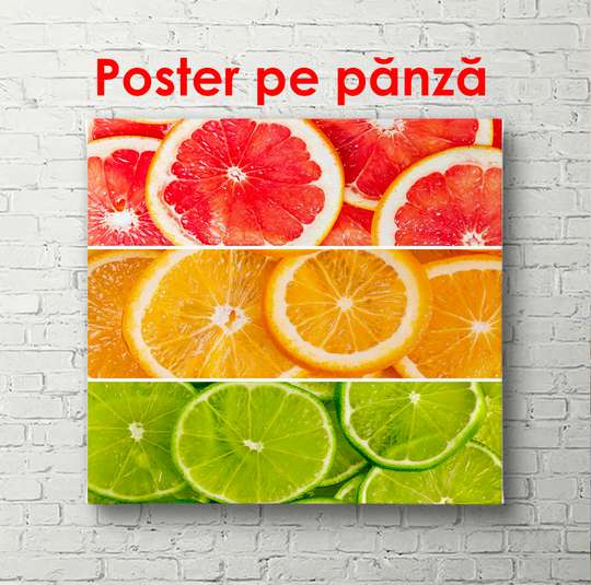 Poster - Colorful citruses, 100 x 100 см, Framed poster, Food and Drinks