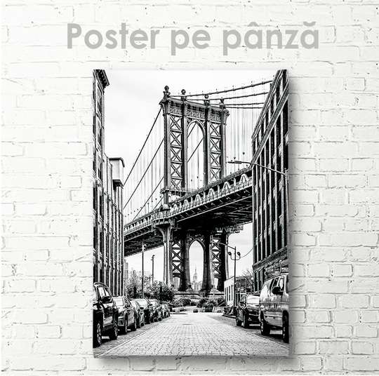 Poster, Podul American, 30 x 45 см, Panza pe cadru