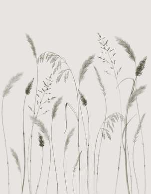 Wall Mural - Delicate grass