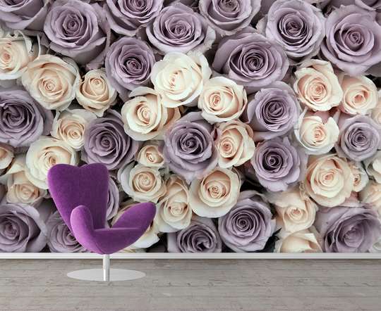 Fototapet - Trandafiri purpurii și albi