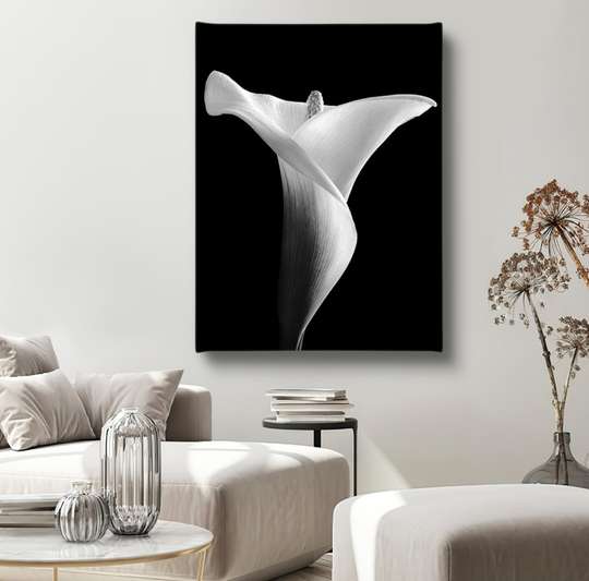 Постер - Белая лилия на черном фоне, 30 x 45 см, Холст на подрамнике, Цветы