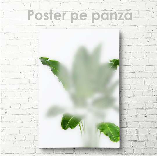 Постер - Зеленые листья в тумане, 30 x 45 см, Холст на подрамнике, Ботаника