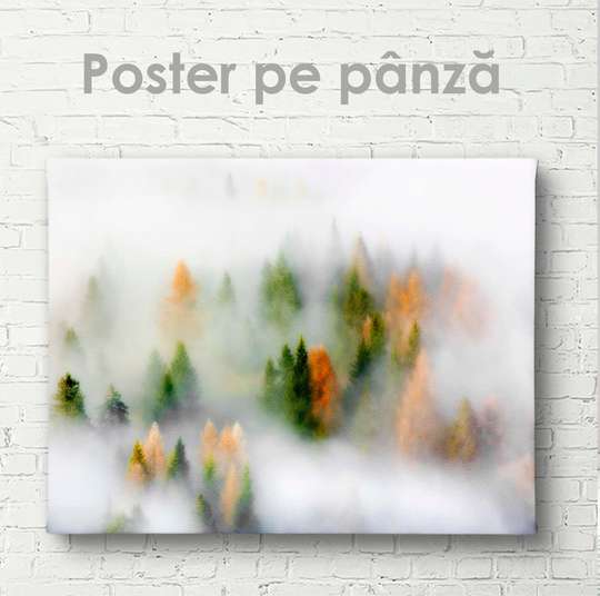 Постер - Туманный лес с елками, 45 x 30 см, Холст на подрамнике, Природа