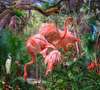 Fototapet - Flamingo în junglă
