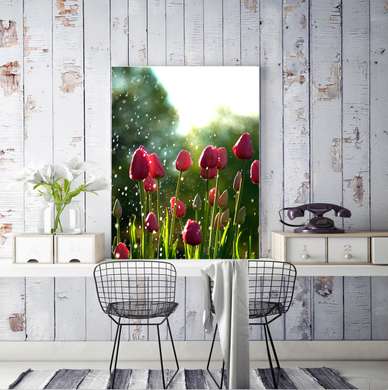 Poster - Tulips, 30 x 45 см, Canvas on frame