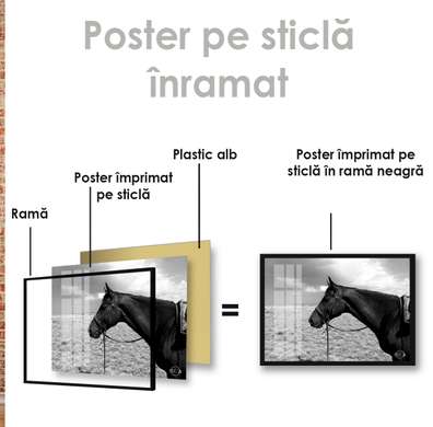 Poster, Calul, 45 x 30 см, Panza pe cadru