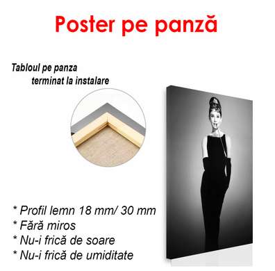 Poster - Odri Hăpbiorn într-o rochie neagră, 60 x 90 см, Poster înrămat
