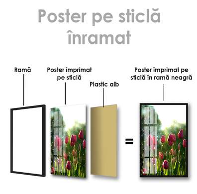 Постер - Тюльпаны, 30 x 45 см, Холст на подрамнике