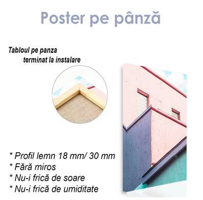 Poster - Casă roz, 30 x 45 см, Panza pe cadru