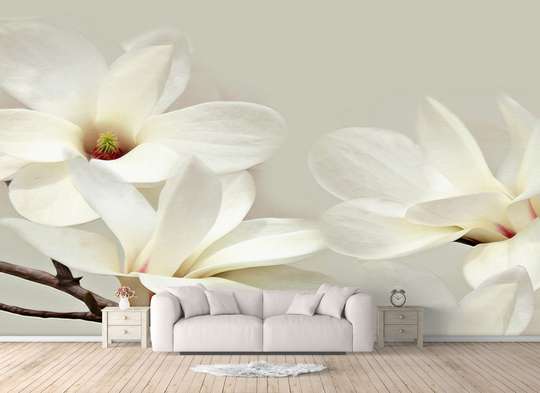 Wall Mural - White magnolia flower on a gray background
