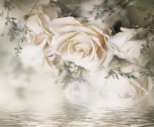 Wall Mural - Roses over water