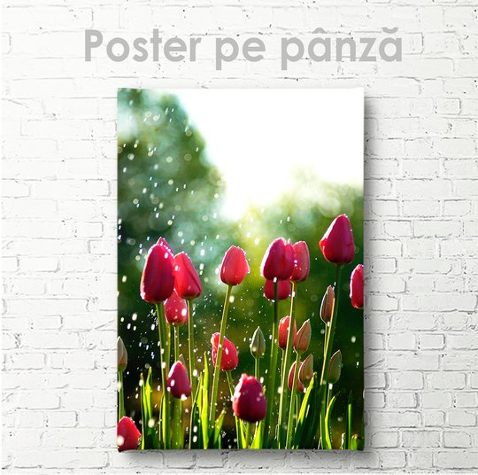 Постер, Тюльпаны, 30 x 45 см, Холст на подрамнике