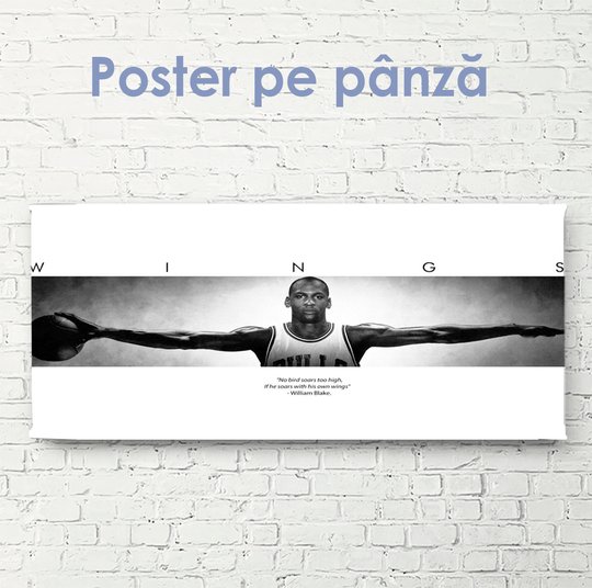 Постер, Крылья Михаила Жордана, 60 x 30 см, Холст на подрамнике