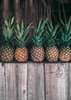 Poster - Pineapples on the shelf, 30 x 45 см, Canvas on frame, Food and Drinks