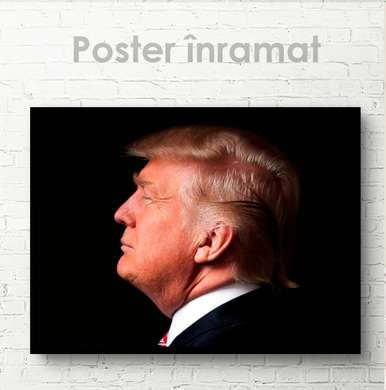 Poster - Donald Trump, 45 x 30 см, Panza pe cadru