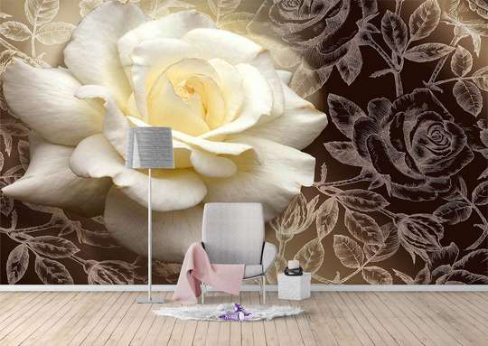 Wall Mural - White rose on a black background