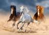 Фотообои - Три бегущие лошади.