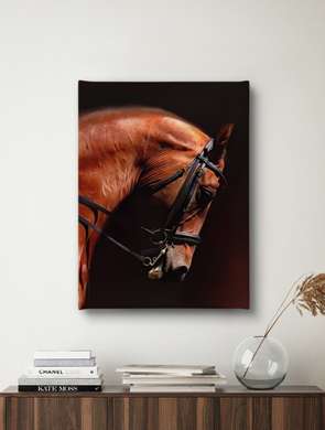Постер, Коричневая лошадь, 30 x 45 см, Холст на подрамнике