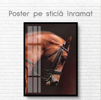 Poster, Cal brun, 30 x 45 см, Panza pe cadru
