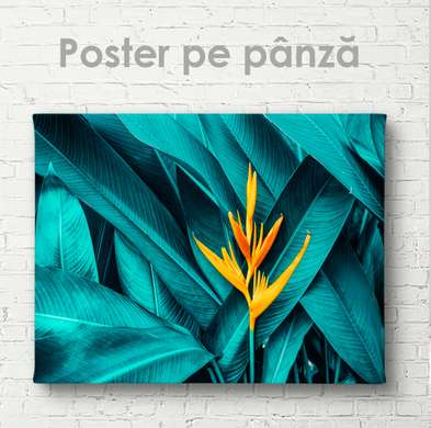Poster - Verdeață tropicală, 45 x 30 см, Panza pe cadru