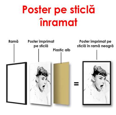 Poster - Portretul alb-negru al Sophiei Loren, 60 x 90 см, Poster înrămat