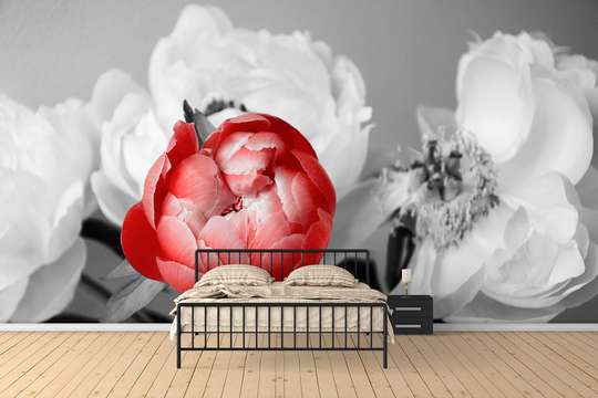 Wall Mural - Red flower on a background of black and white flowers
