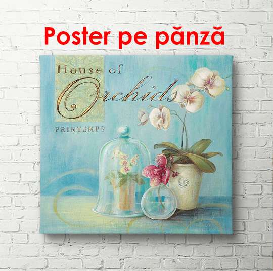 Poster - Vase with white flowers on a blue background, 100 x 100 см, Framed poster, Provence