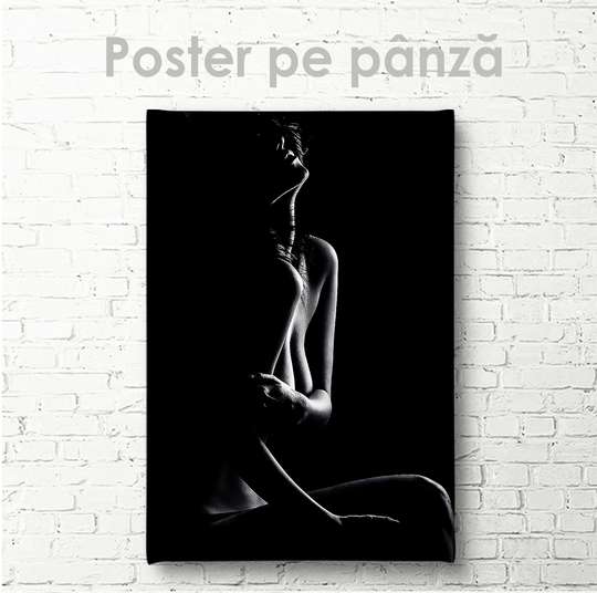 Poster, Siluet feminin, 30 x 45 см, Panza pe cadru