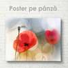 Poster - Red poppy, 40 x 40 см, 45 x 30 см, Canvas on frame