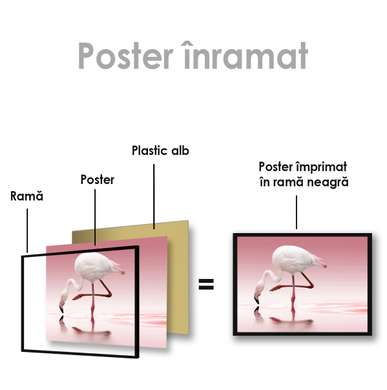 Poster, White flamingo, 45 x 30 см, Canvas on frame