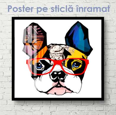Poster - Fashionable french bulldog with glasses, 40 x 40 см, Canvas on frame