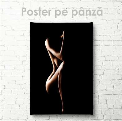 Poster - Silhouette of a girl on a black background, 30 x 45 см, Canvas on frame