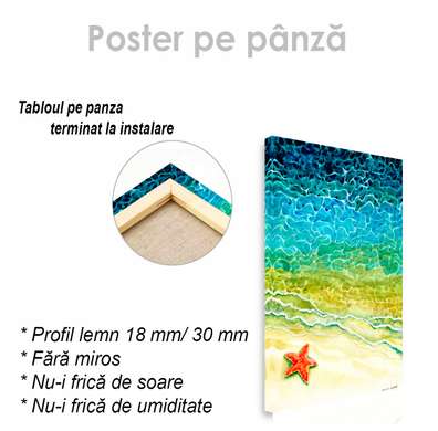 Постер - Морская звезда, 30 x 45 см, Холст на подрамнике