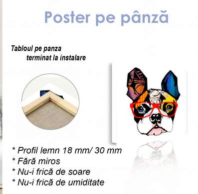 Постер - Модный французский бульдог в очках, 40 x 40 см, Холст на подрамнике