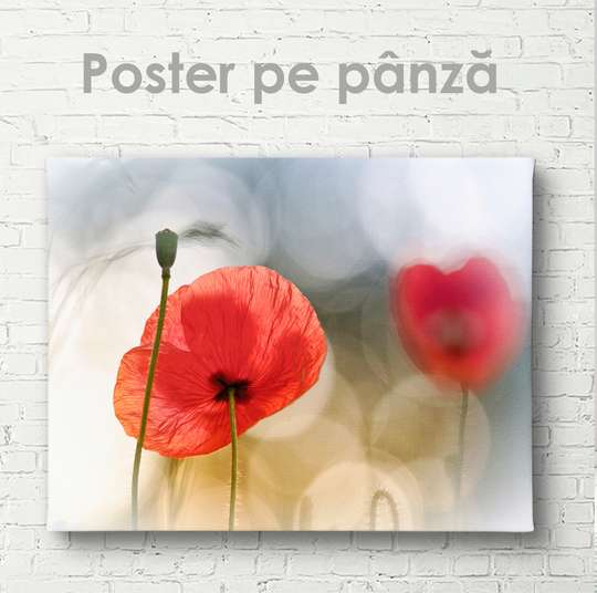 Poster - Red poppy, 90 x 60 см, Canvas on frame, Flowers