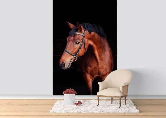 Wall Murall - Brown horse on a black background.