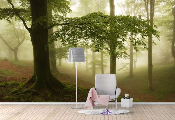 Wall Mural - Foggy forest