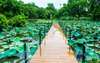 Фотообои - Мост в ботаническом саду