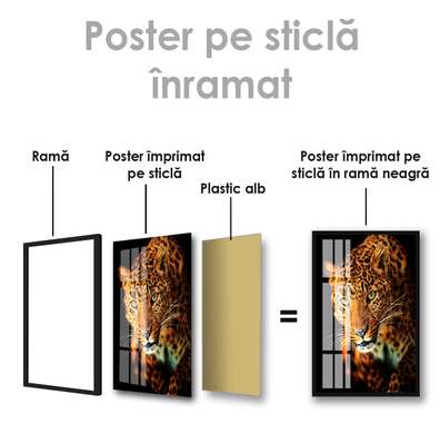 Poster, Leopard, 30 x 45 см, Panza pe cadru