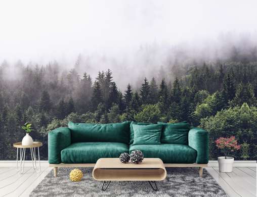 Wall Mural - Foggy forest