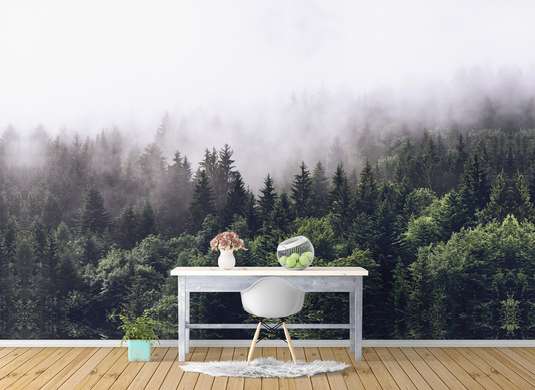Fototapet - Ceața din pădure