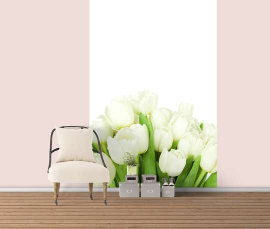 Фотообои - Белые тюльпаны