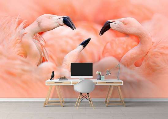 Fototapet - Flamingo roz