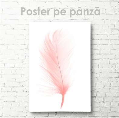Poster - Pană roz, 30 x 45 см, Panza pe cadru
